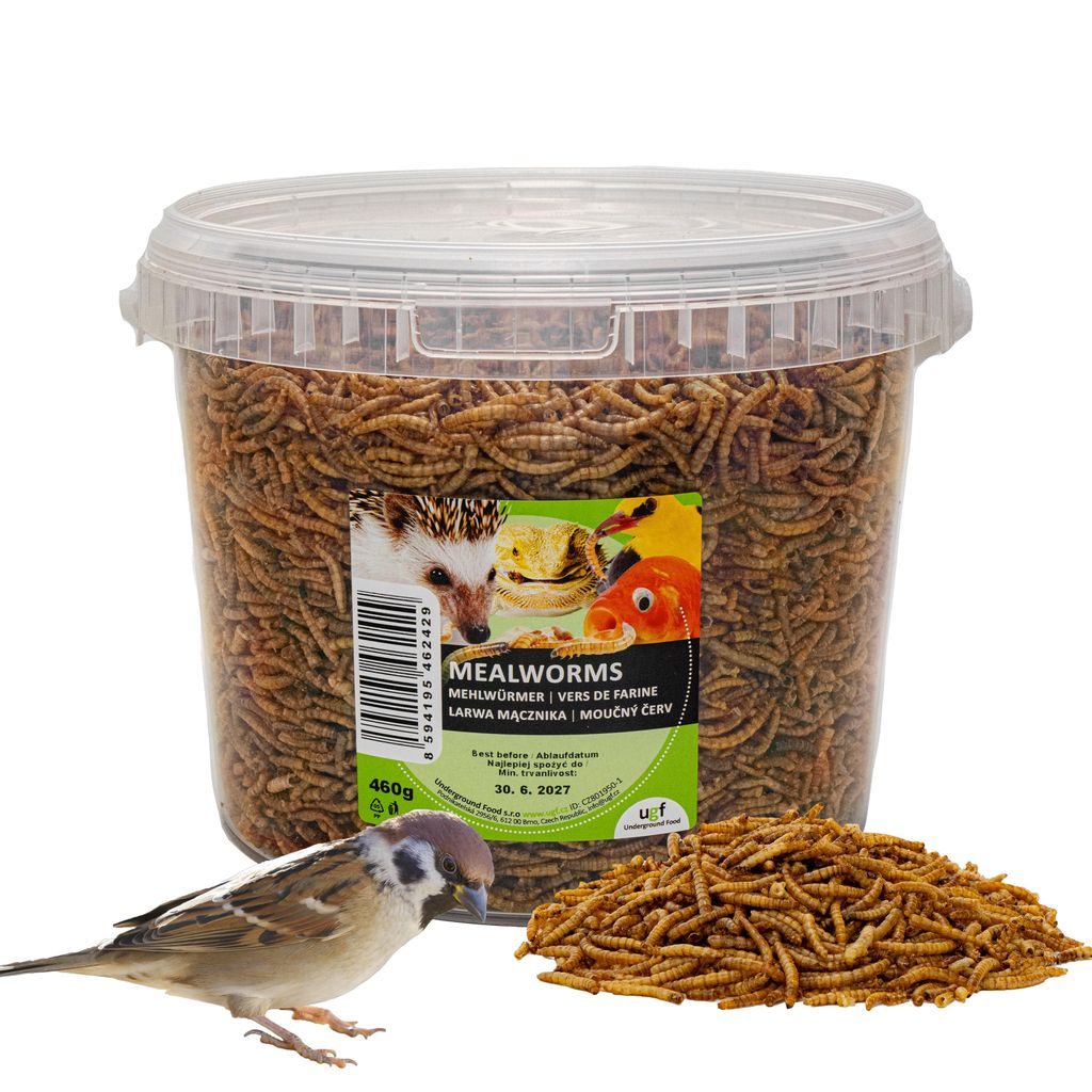 UGF vers de Farine séchés de qualité supérieure 460 g (seau Image du produit 