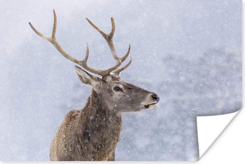 MuchoWow Poster Schnee - Hirsche - Winter 60x40 cm - Schlafzimmerdekoration