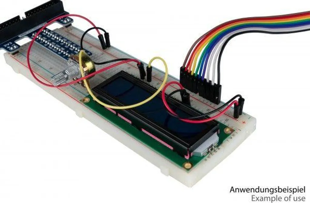 Cavo di collegamento 40 pin St-St 40cm Kabelmeister - Prototipazione Rapida