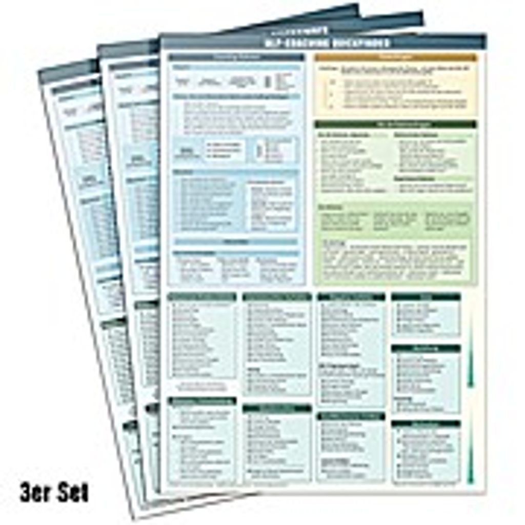 NlP Coaching Quickfinder - Praktische Schnellübersicht und Spickzettel für den NLP Coach (NLP Practitioner und NLP Master) - Lehrmaterial, 3 Tafeln