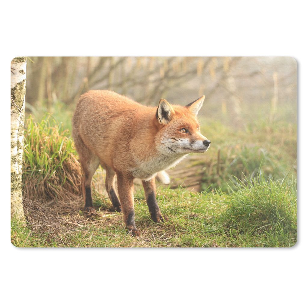 MuchoWow Mauspad Mousepad Fuchs - Wald - Licht 27x18 cm - Mousepads - Maus Mat - Pad - Mausunterlage - Büroartikel - Desk Matten
