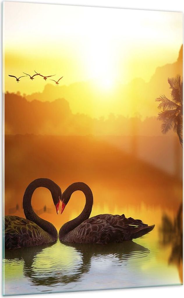 Bilder auf glas - Einteilig - Schwan Wasser Paar - 70x100cm - Glasbilder - Wandbilder - Bilder - zum Aufhängen bereit - Wanddekoration aus Glas - ...