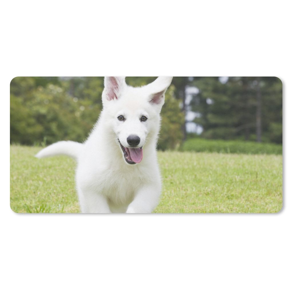 MuchoWow Mauspad Mousepad Der Welpe eines weißen Deutschen Schäferhundes 60x30 cm - Mousepads - Maus Mat - Pad - Mausunterlage - Nachhaltig