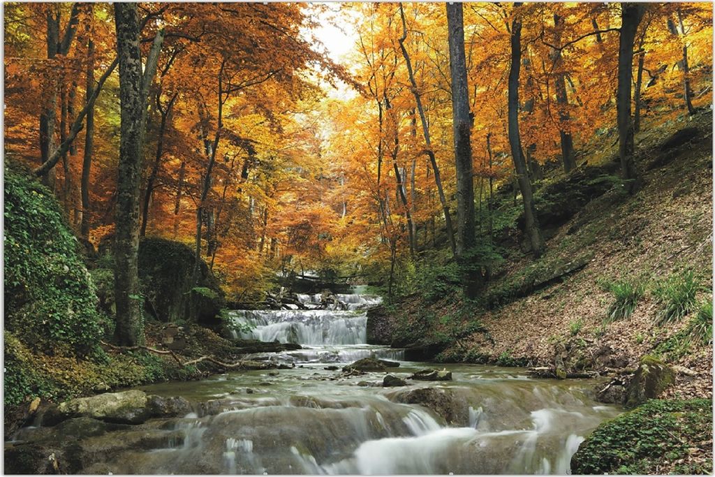 Wallario Wandbild Kleiner Bach über Steine im Herbstwald, Größe: 61 x 91,5 cm, Poster mit rahmenlosen Bildhalter