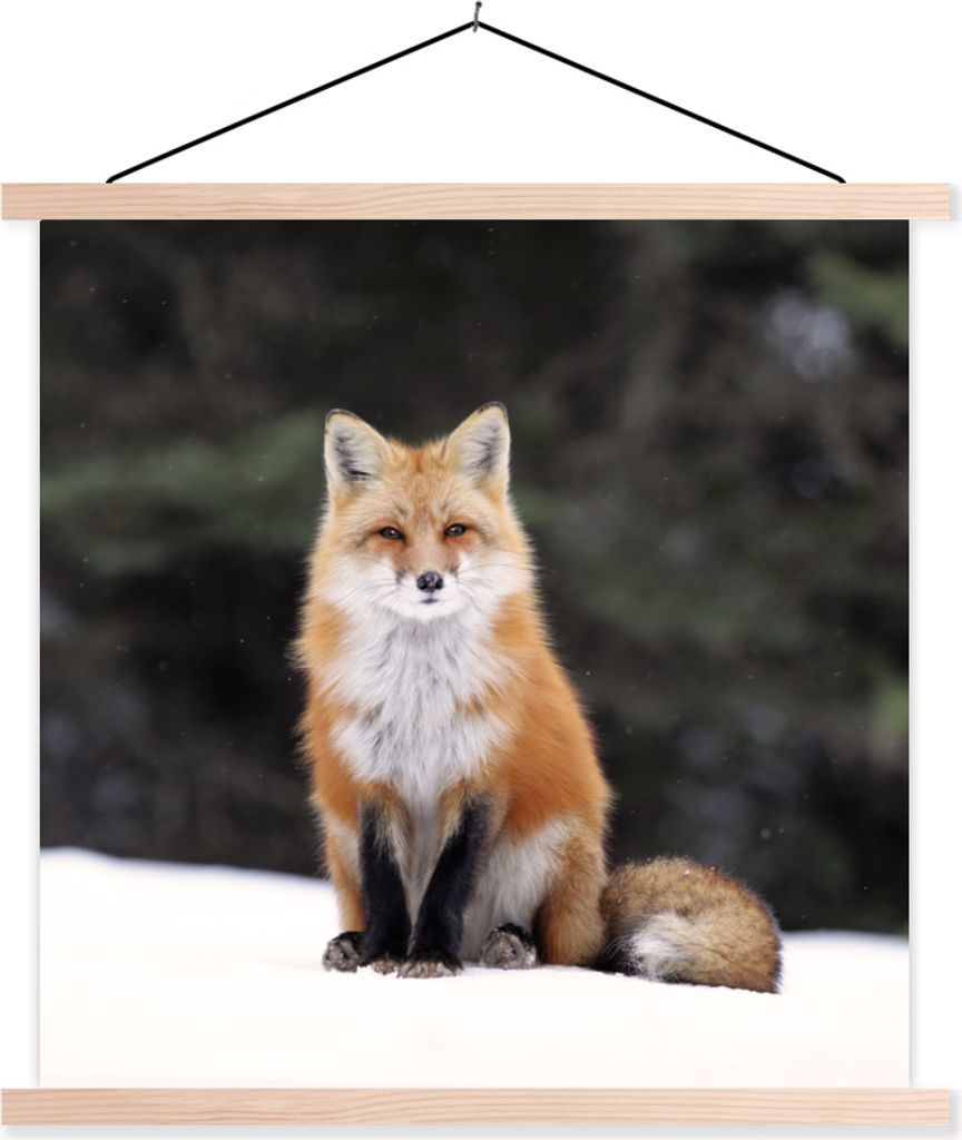 MuchoWow Textilposter Fuchs - Schnee - Rot 120x120 cm mit holzfarbenen Rahmen - Textil-Poster