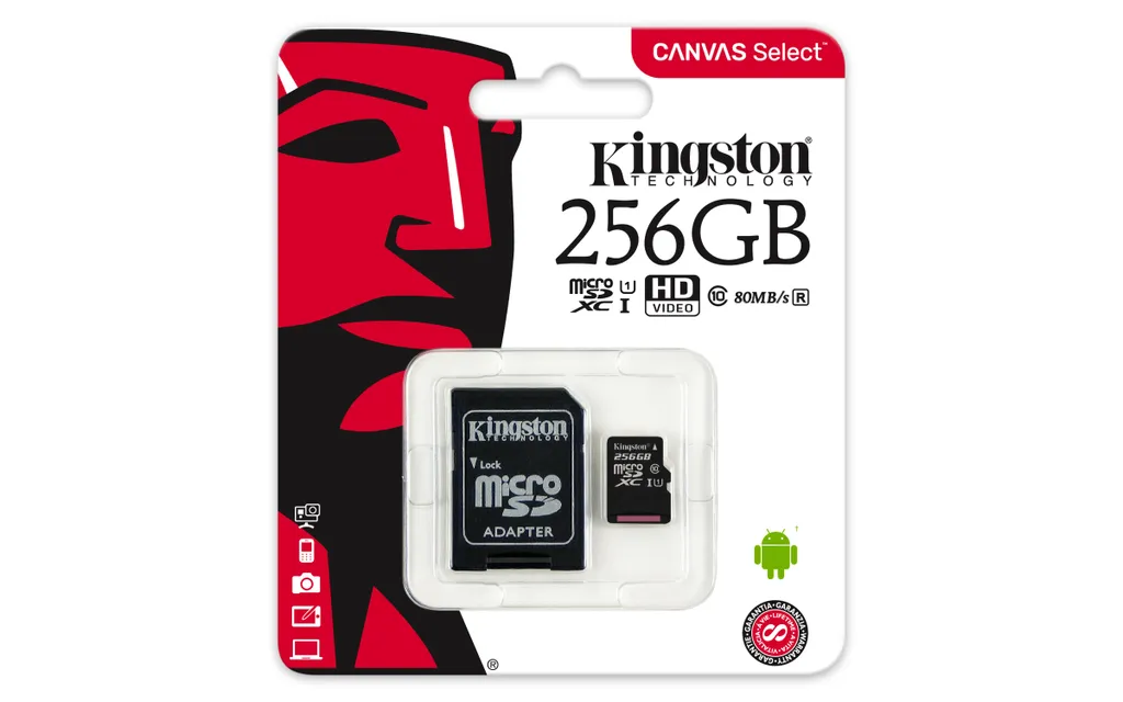 Carte MicroSD 256 Go Kingston Canvas Select pour Smartphone et Tablette - 3