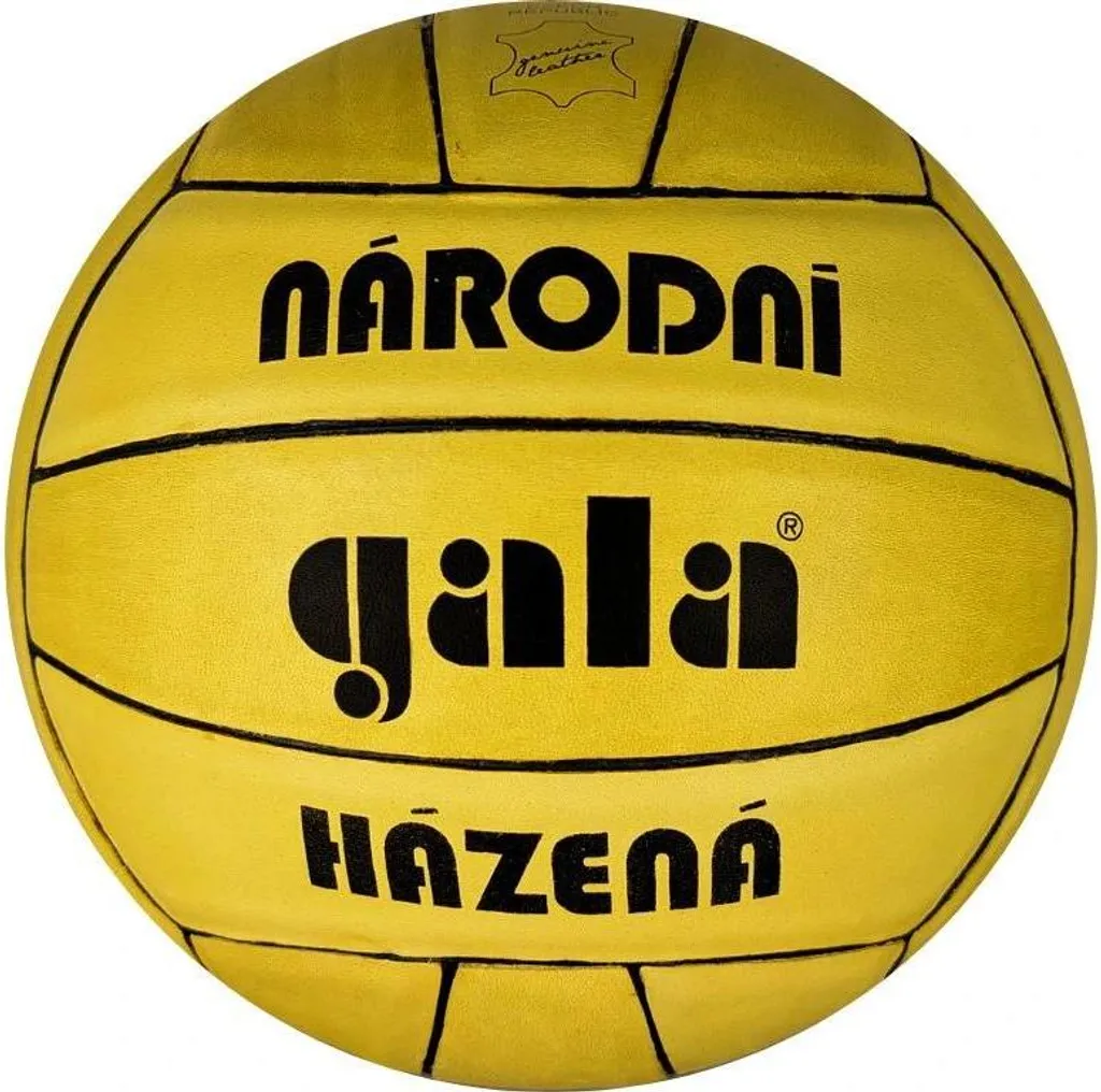Ballon Gala BH3012L National Handball - Grip Supérieur et Rebond Idéal