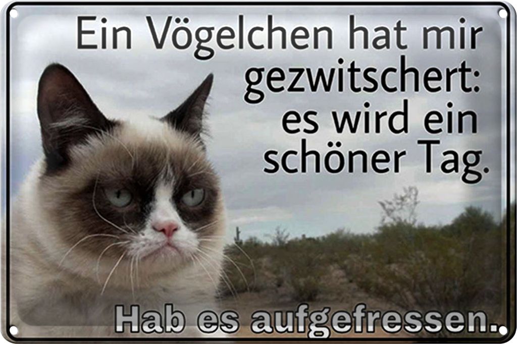 Blechschild Spruch 40x30cm Katze Vögelschen gezwitschert