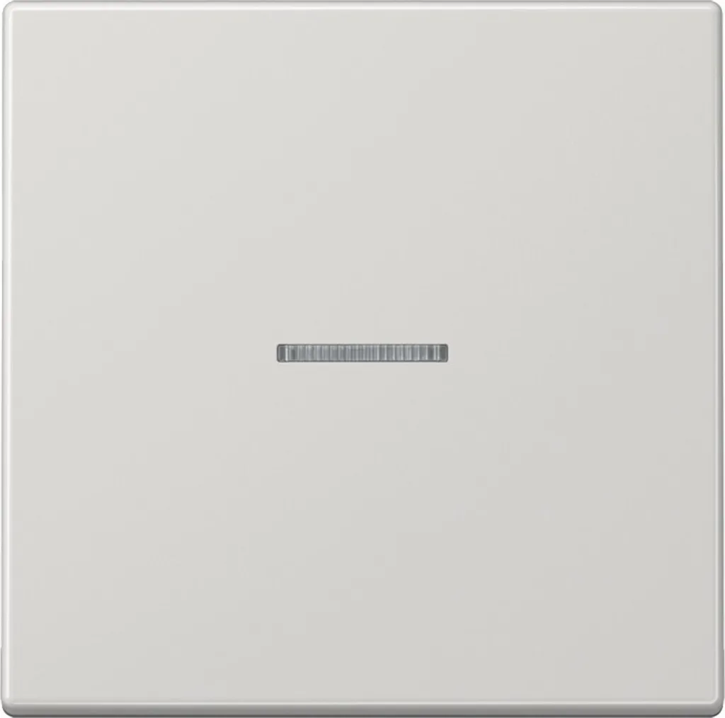Wippe Interrupteur Jung LS 990 KO5 Light Grey - Matériau Duroplastique