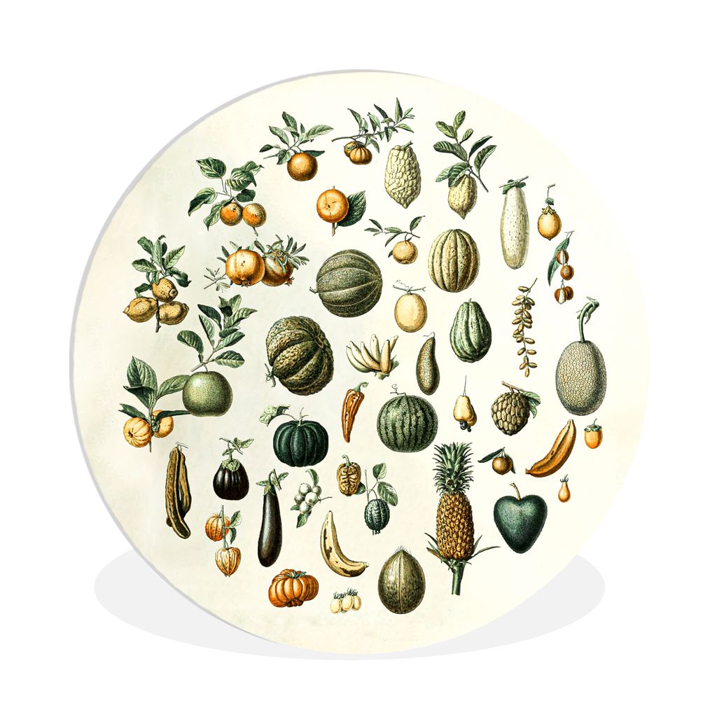 MuchoWow Rundes Wandbild - Runde Bilder Gemüse - Obst - Vintage Ø 90 cm Kreis Wanddekoration Kunststoff - Wandkreis - Wandschmuck - Wand-Kreis ...