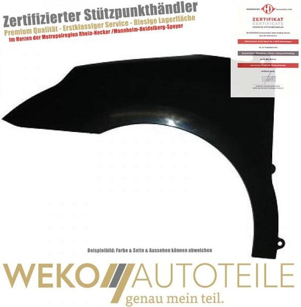 Diederichs Kotflügel li. C4, 04-09