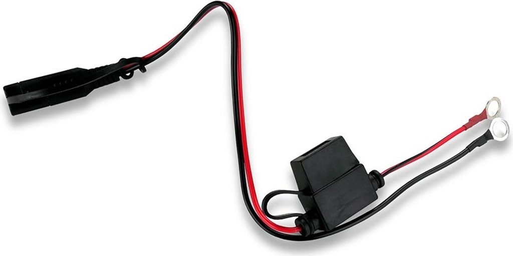 Ladegerät Ladegerät 6V / 12V everActive CBC-1 everActive Produktbild 15