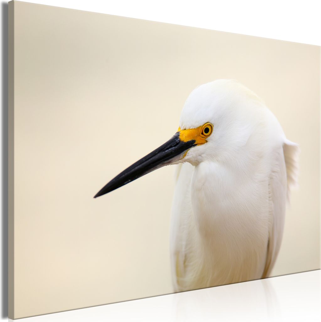 Italienischer Leinwand Leinwandbild - Snowy Egret (1 Part) Wide 120x80 cm Tiere g-B-0222-b-a