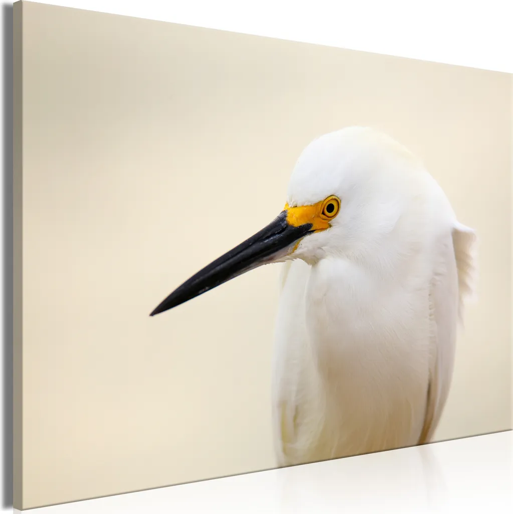 Quadro su tela italiano - Airone bianco (1 parte) Largo 120x80 cm Animali g-B-0222-b-a