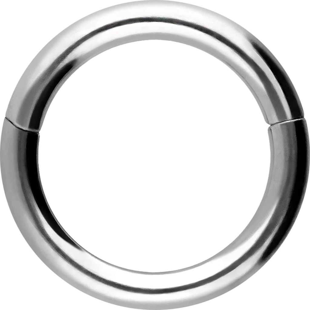 Ohrpiercing, Nasenpiercing, Septum Piercing Chirurgenstahl Segmentring Clicker Silber Innendurchmesser: 6mm + Stabstärke: 1,2mm