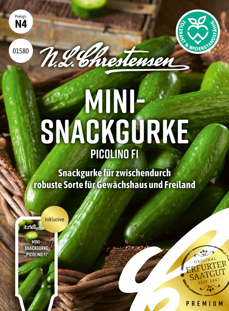 Mini - Snackgurke Picolino F1 | Gurkensamen von N.L. Chrestensen