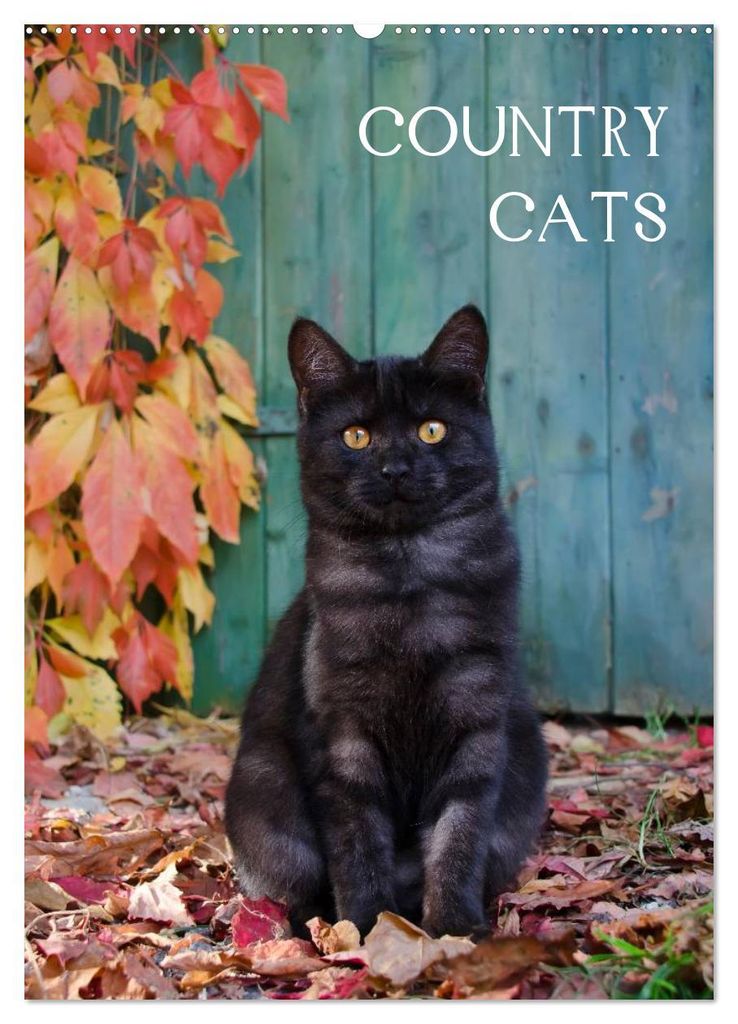 COUNTRY CATS (Wandkalender 2027 DIN A2 hoch), CALVENDO Monatskalender