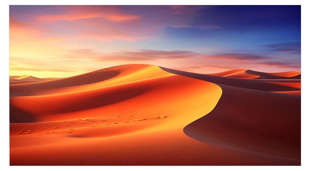 celexon Rahmenleinwand Expert PureWhite 250 x 156 cm