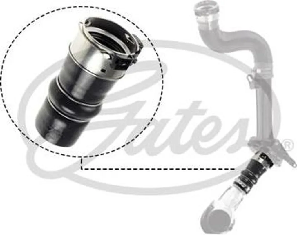 GATES 09-1394 Flessibile Aria Alimentazione E Kit PowerGrip Con Pompa Acqua Per Auto - 2