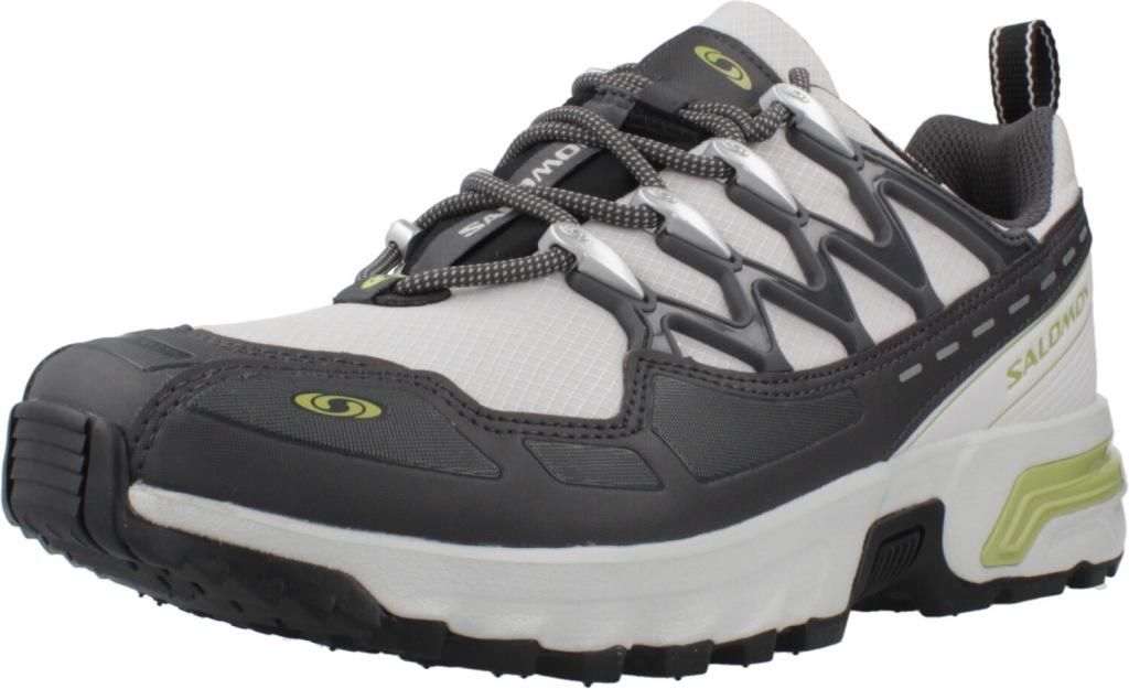SALOMON ACS GTX SAT Grau