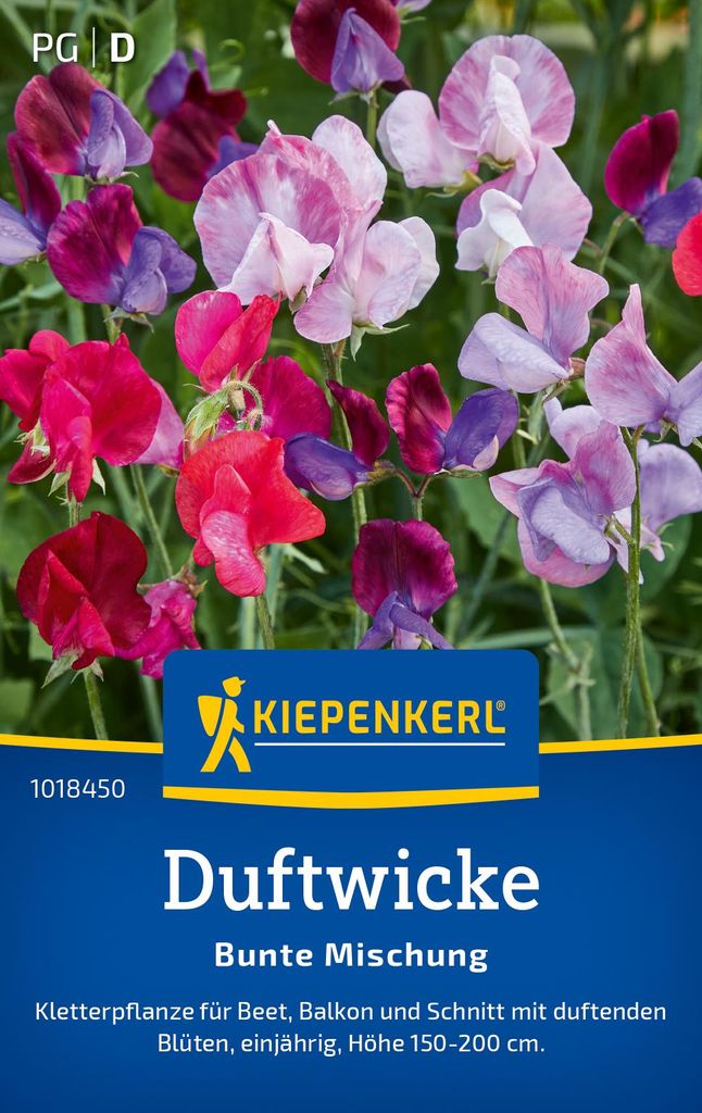 Kiepenkerl Duftwickensamen Bunte Mischung Lathyrus odoratus Produktbild 