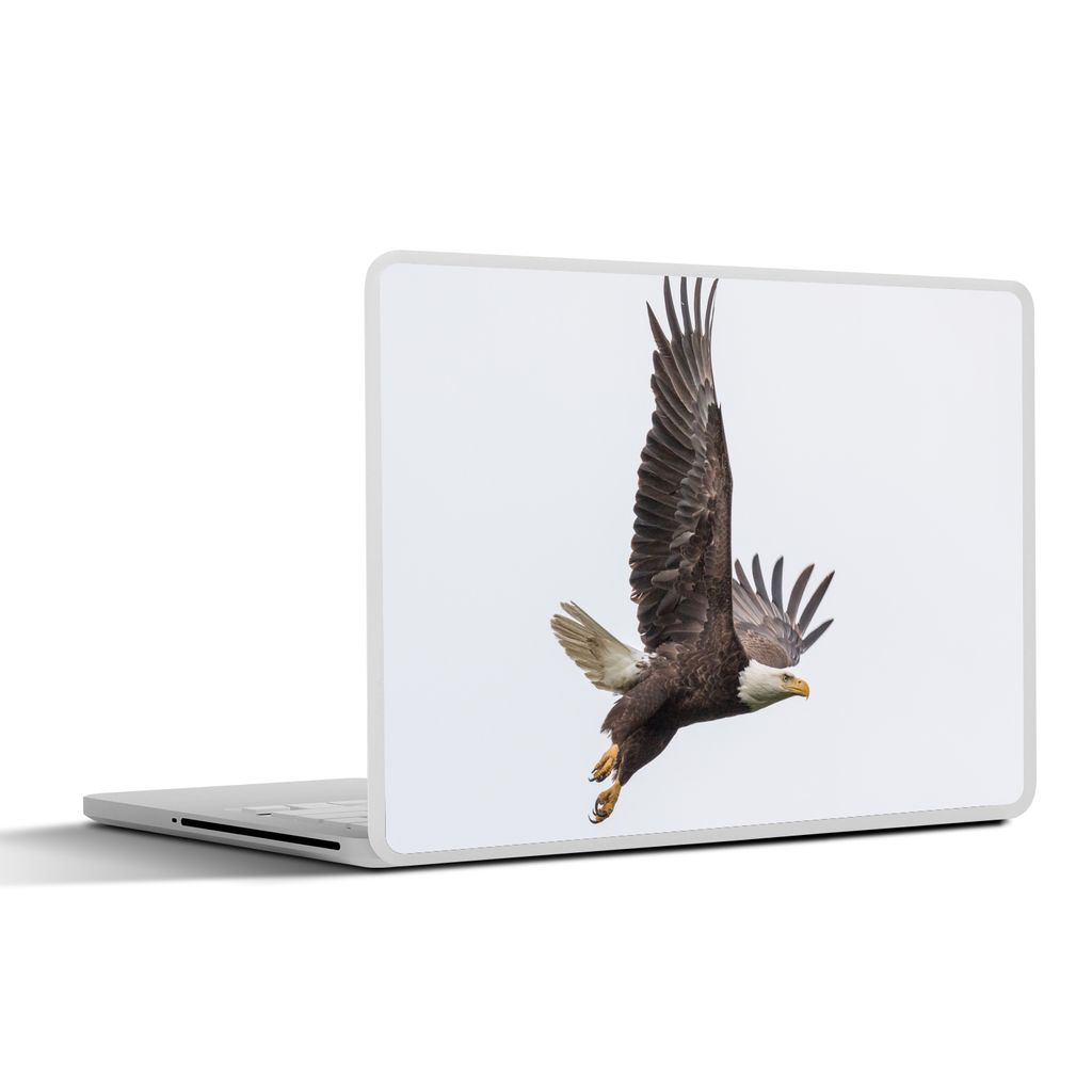 MuchoWow Laptop Aufkleber Sticker Cover Weißkopfseeadler - Vogel - Amerika 32.5x23.5 cm - Sticker für Laptop - Selbstklebend