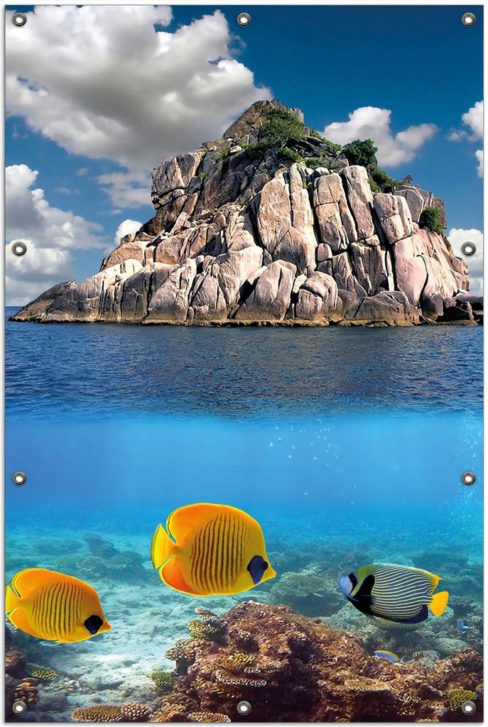 Wallario Outdoor-Poster für Garten oder Balkon, Motiv Exotische Fische im Meer, in ca. 100 x 150 cm