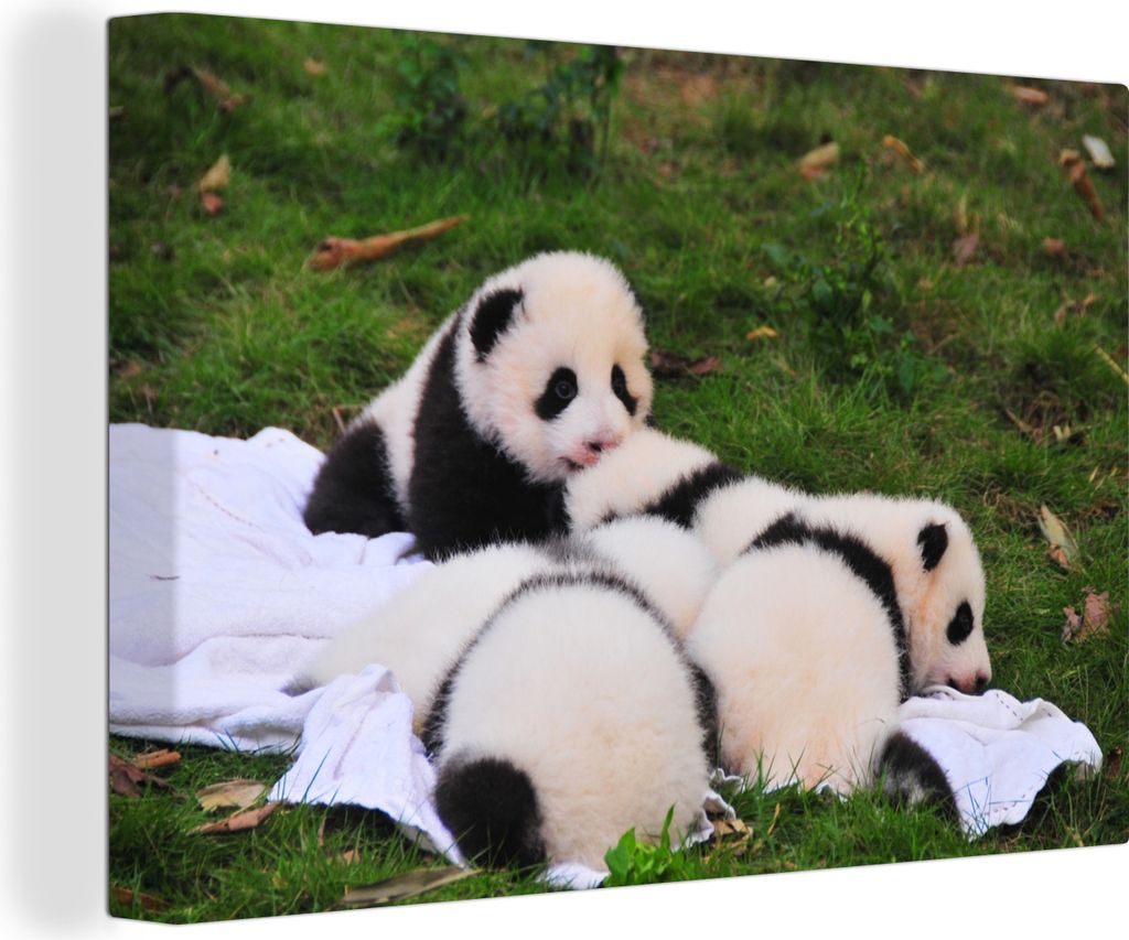 OneMillionCanvasses - Leinwandbilder - 150x100 cm, Pandas - Gras - Decke, Wandbilder Kunstdruck Wanddekoration