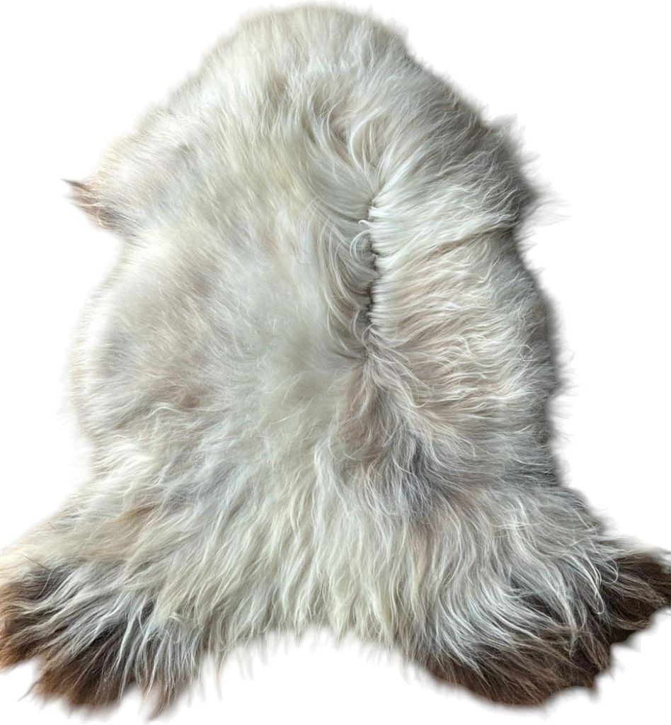 Island Lammfell – Ganzes Schaffell, Langhaarig Cremeweiß mit Braunen Spitzen 120-140 cm
