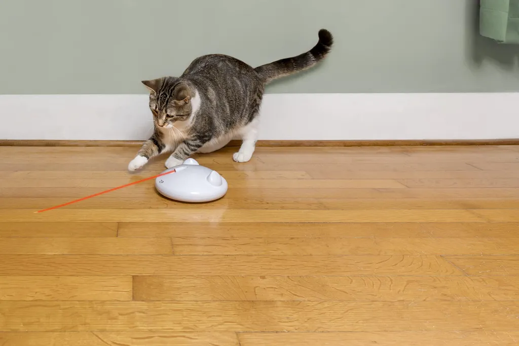 PetSafe ZIP: Il Robot Laser che salva i tuoi mobili dai graffi - 9