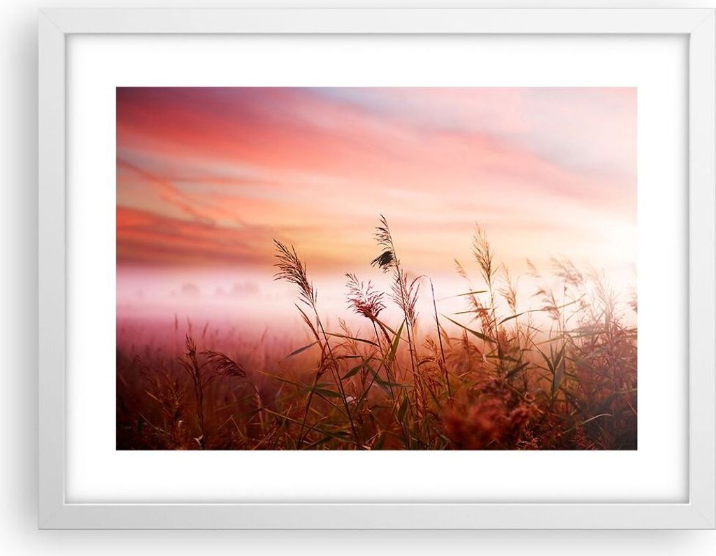 Gerahmtes Poster - Weißer Rahmen - Wiese Getreide Natur - 40x30 cm - Wand Bild - Wanddeko - Wandbilder - Kunstposter - Wandposter - Bilderrahmen -...