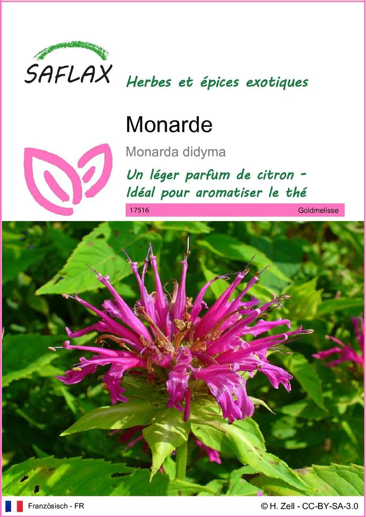 SAFLAX  - Monarde - 20 graines - Monarda Image du produit 