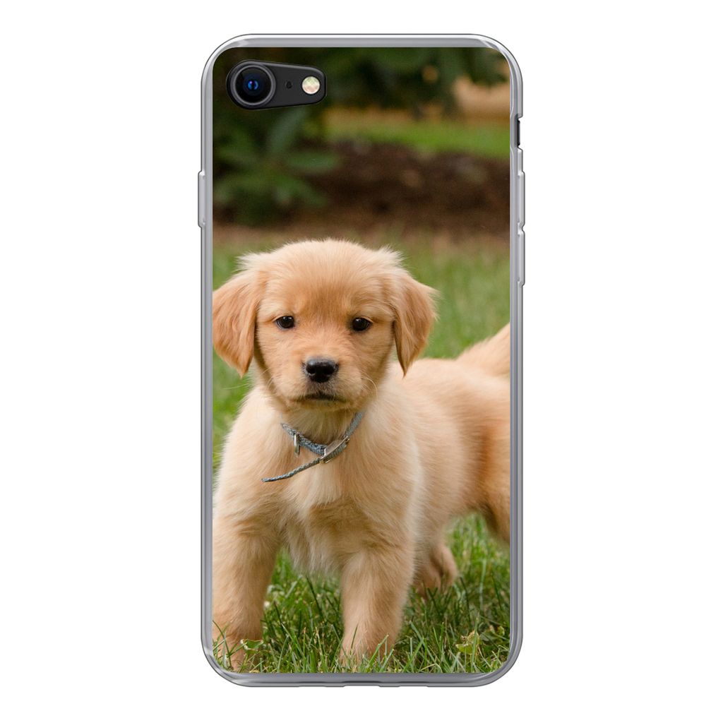 MuchoWow Handyhülle Schutzhülle Hülle für iPhone SE 2020 Golden Retriever Welpe im grünen Gras Silikon Softcase Handy Hülle - Kartenbesitzer