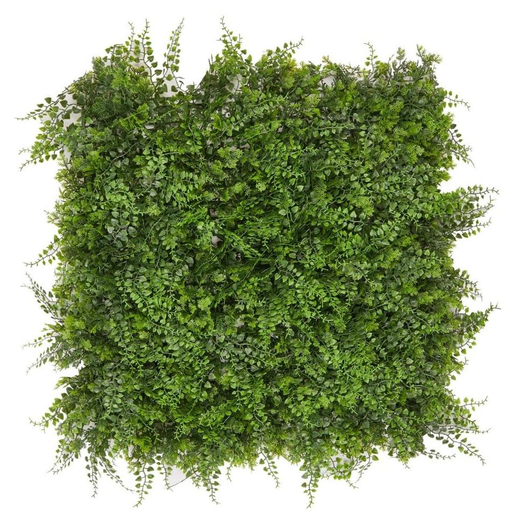 Farnwand – Vertikaler Garten – 50 x 50 cm – schnell aufzubauen und erweiterbar – Sichtschutz – Wandpaneele – künstliche Pflanze