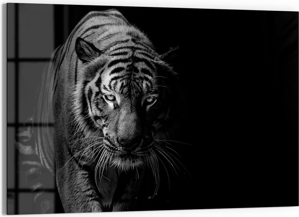 DEQORI Glasbild Echtglas 90x60 cm 'Tiger auf der Pirsch' Wandbild Bild modern Deko