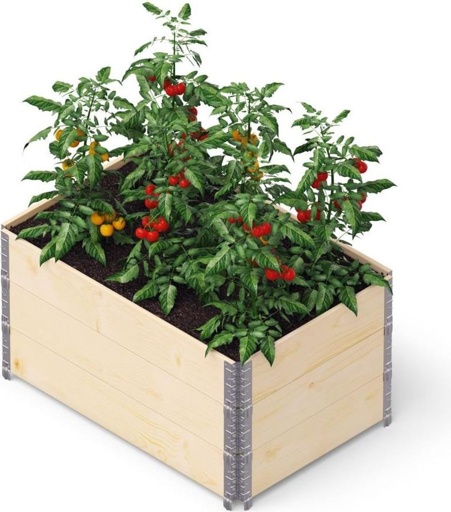 A wooden raised garden bed filled with tomato plants.