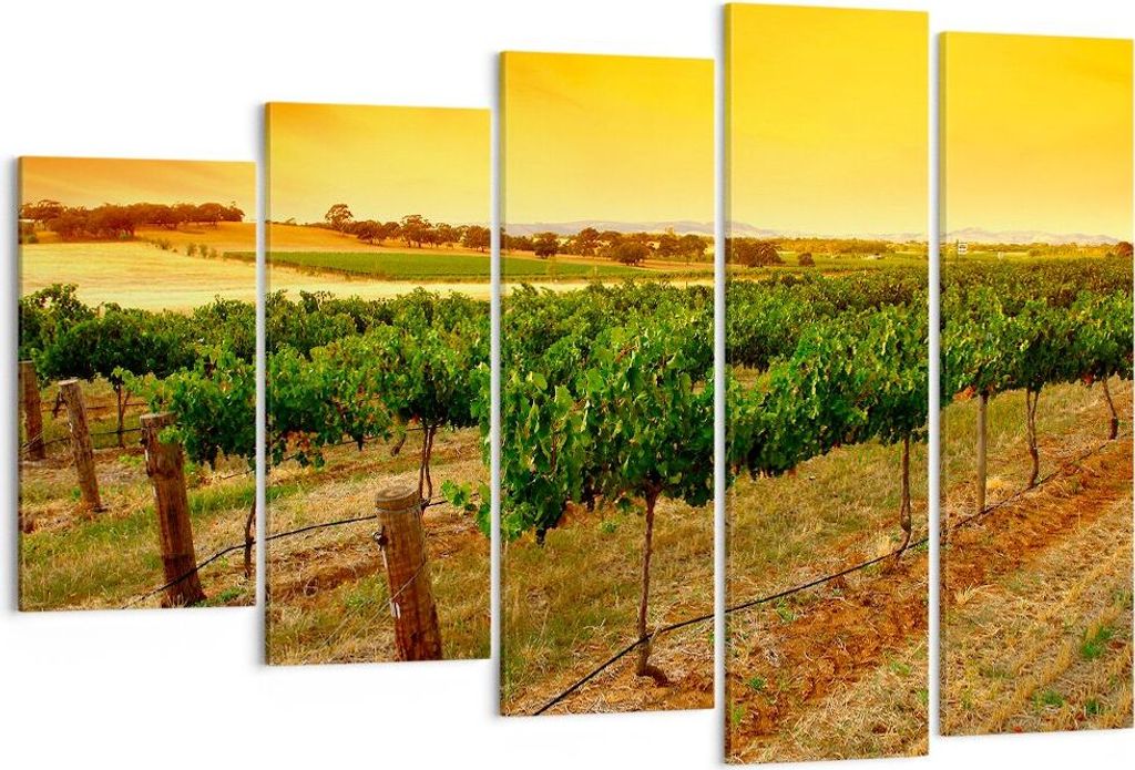 Bild auf Leinwand - Leinwandbild - Landschaft Weinberg Sonnenuntergang - 150x100cm - Wand Bild - Wanddeko - Leinwanddruck - Bilder - Kunstdruck - L...