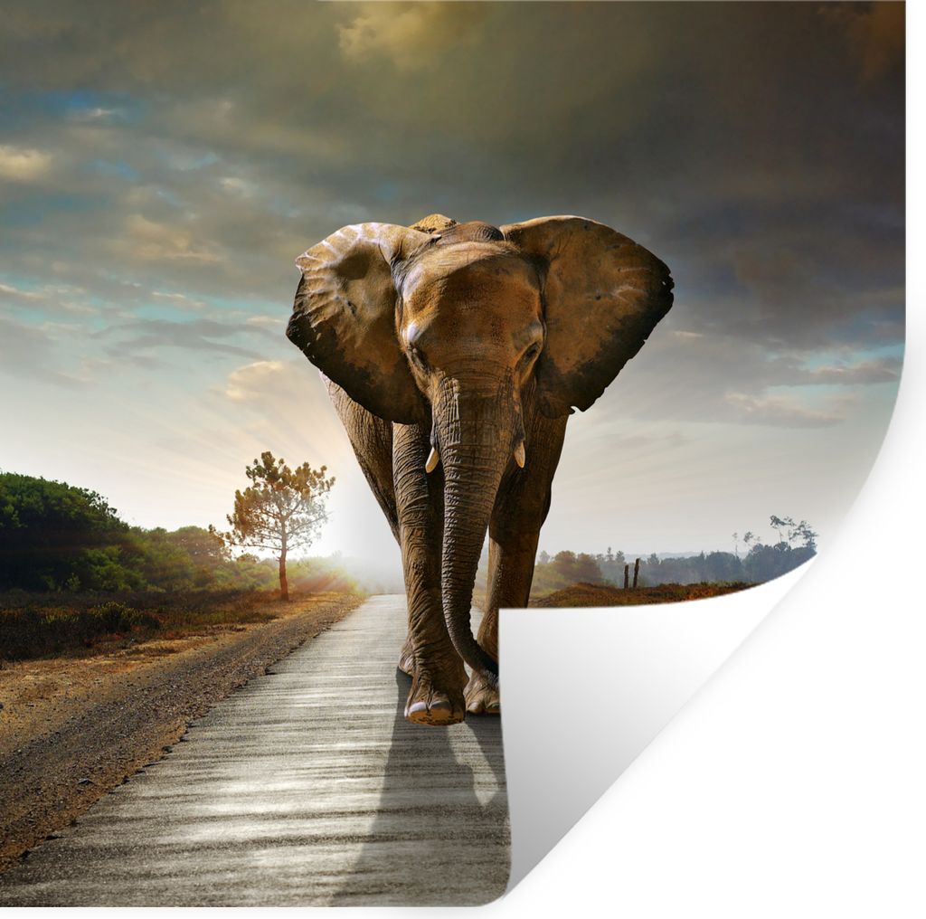 MuchoWow Wandtattoo Wandsticker Wandaufkleber Elefant - Straße - Tiere - Sonnenuntergang - Landschaft 30x30 cm Selbstklebend und Repositionierba...