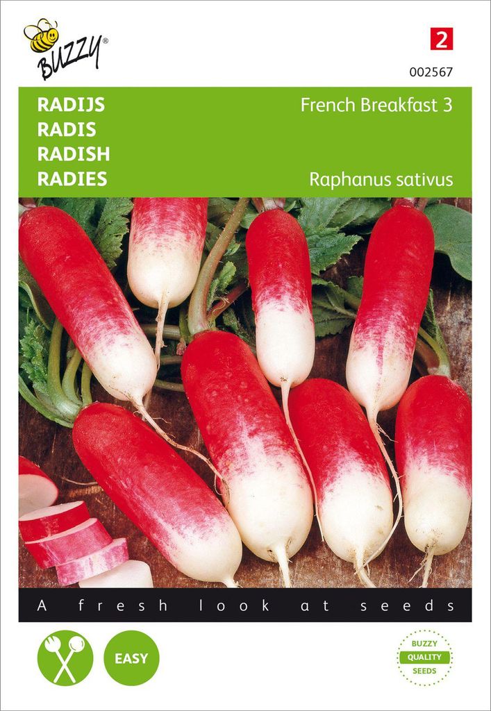 Radies French Breakfast 3 | Radieschensamen von Buzzy Seeds