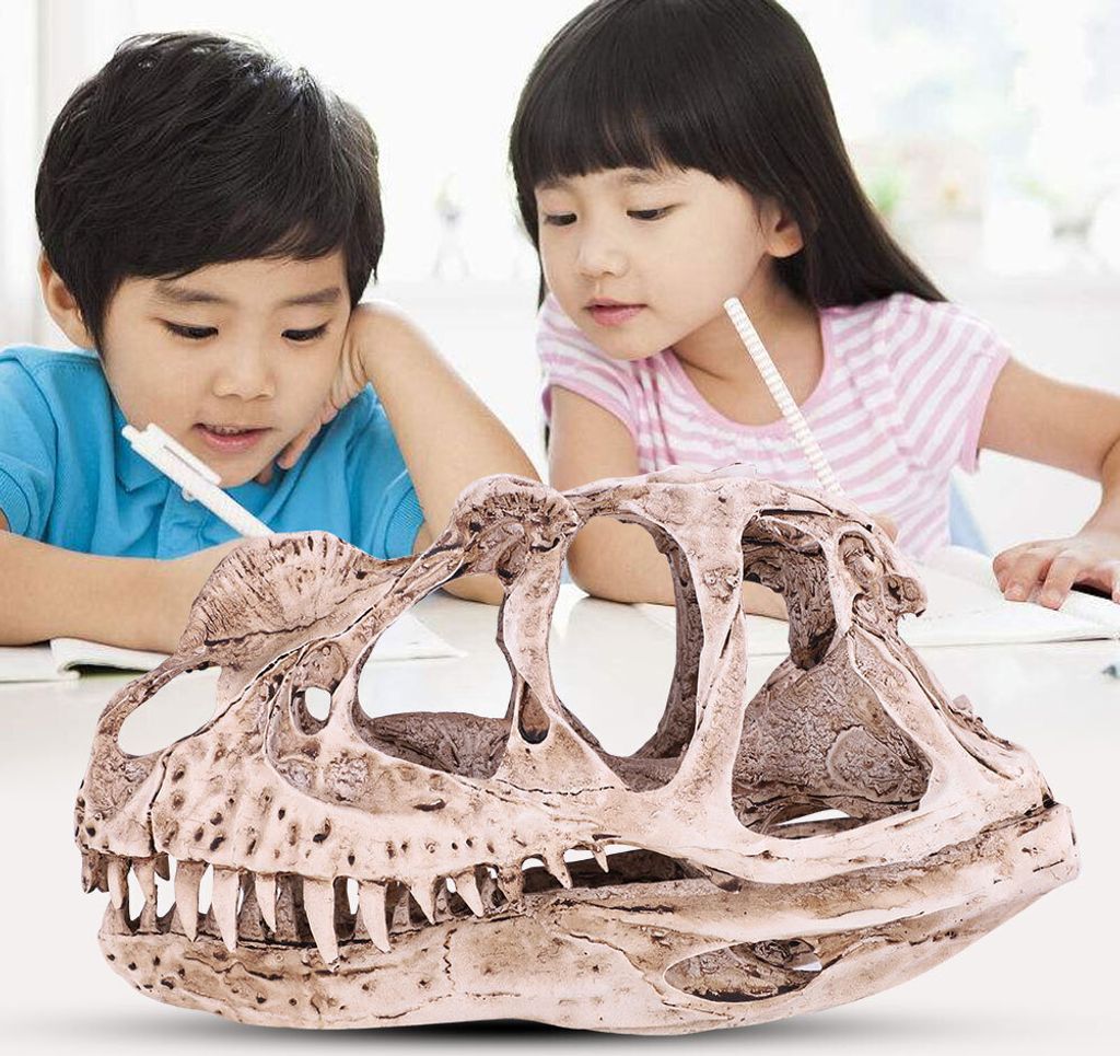 Harz Dinosaurier Schädel Modell Simulierte Tier Skelett Home Office Decor Handwerk Lehre Prop