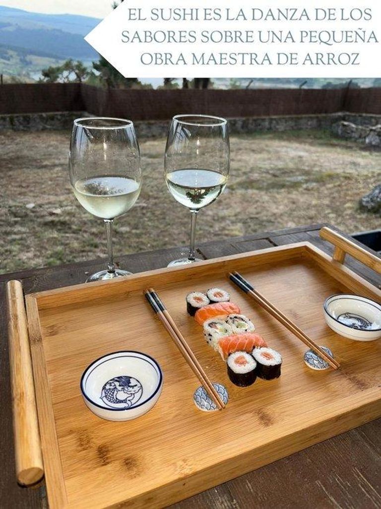 Japanische Melamin Sushi-Gerichte - Qualitätssushi-Set