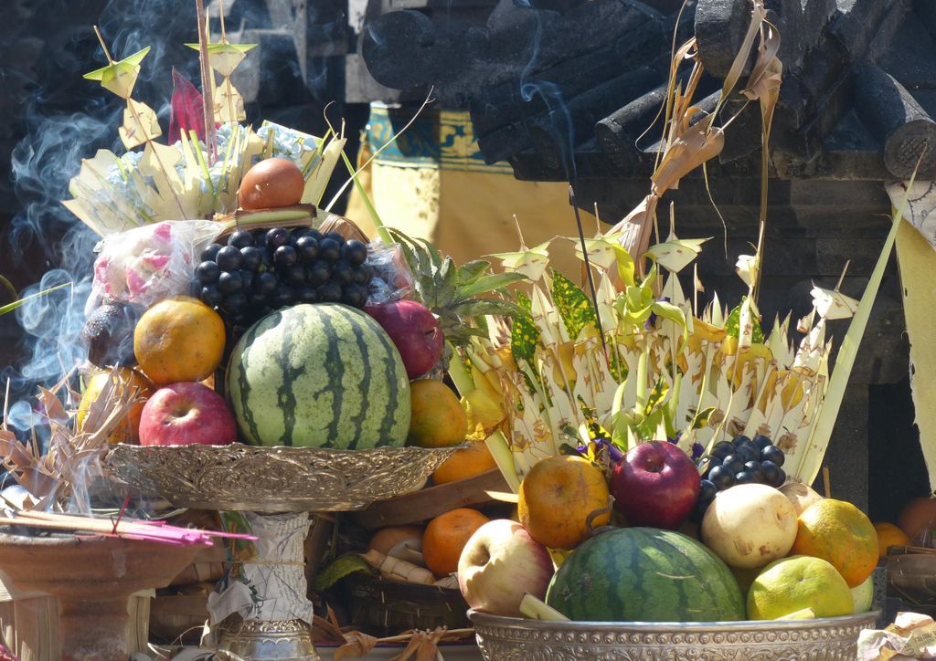 hansepuzzle 103672 - Obst Puzzle, 260 Teile, Ernährung, 41,0 x 28,0cm mit hochwertiger Aufbewahrung, Kartonbox und wiederverschließbarem Beutel