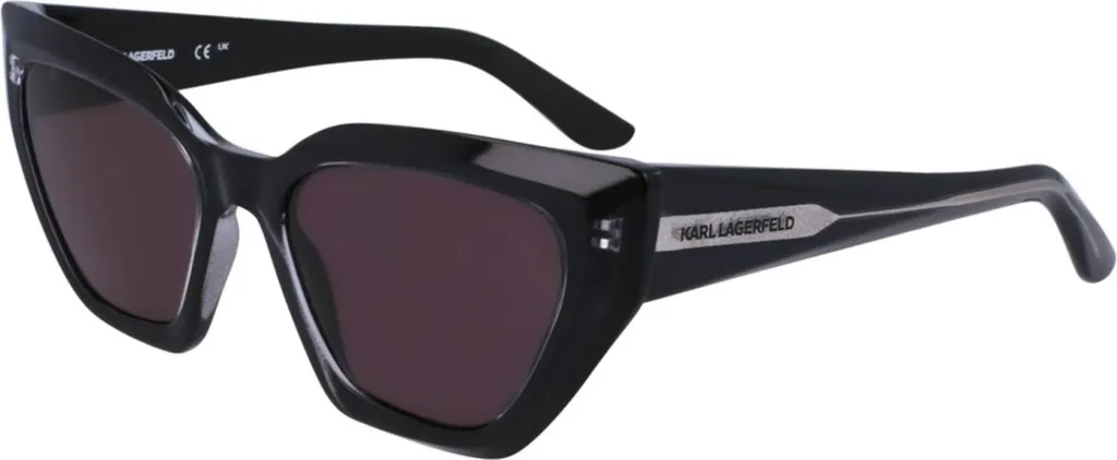 Lunettes de soleil Karl Lagerfeld KL6145S 001 Noir Brillant Chic Homme