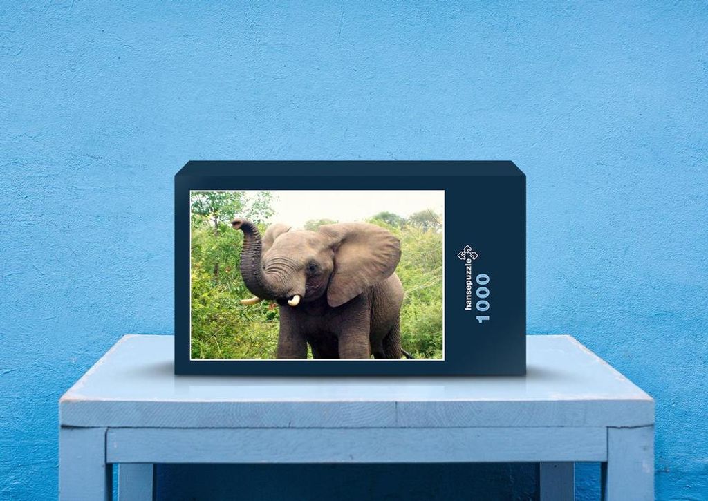 hansepuzzle 83446 - Elefant Puzzle, 1000 Teile, Tierwelt, 60,0 x 46,0cm mit hochwertiger Aufbewahrung, Kartonbox und wiederverschließbarem Beutel