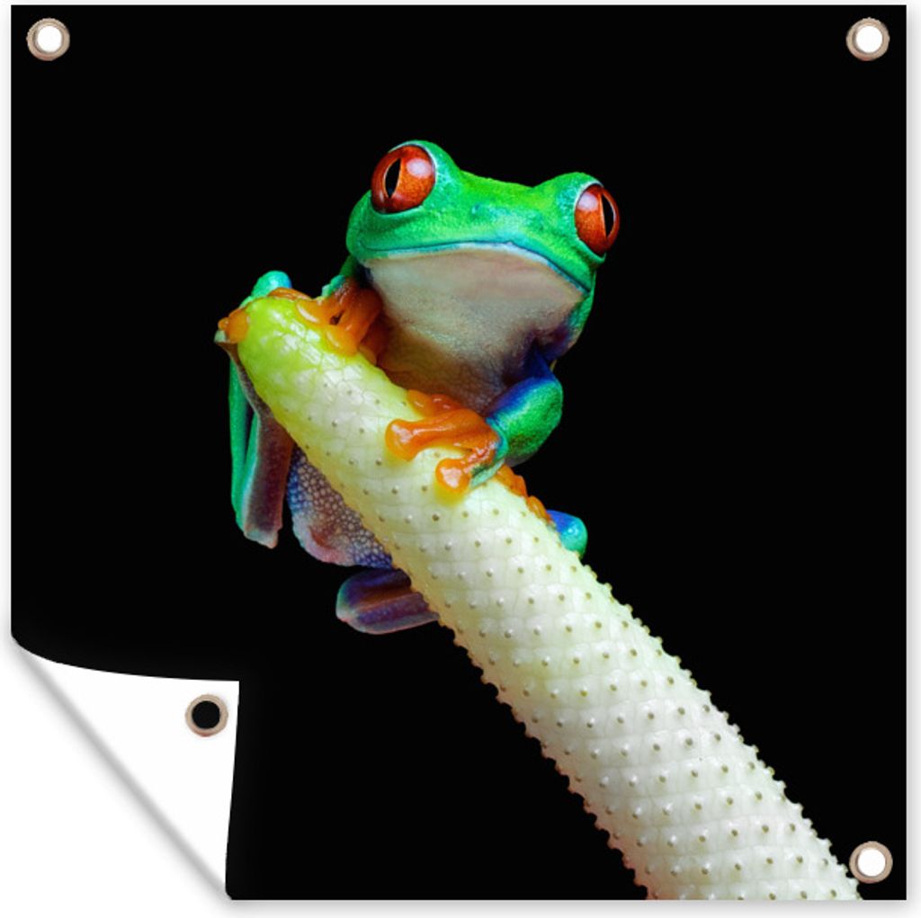 MuchoWow 100x100 cm Outdoor-Poster Gartendeko Sichtschutz Garten Poster für den Garten Frosch - Tier - Pflanze