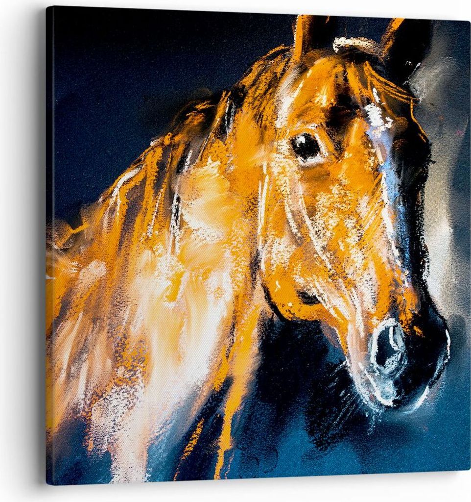 Bild auf Leinwand - Leinwandbild - Pferd Natur Tier - 40x40cm - Wand Bild - Wanddeko - Wandbilder - Leinwanddruck - Bilder - Kunstdruck - Wanddekor...