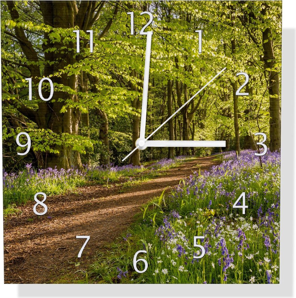 Wallario Design Wanduhr Blaues Hasenglöckchen im Sommerwald aus Aluverbund, Größe 30 x 30 cm