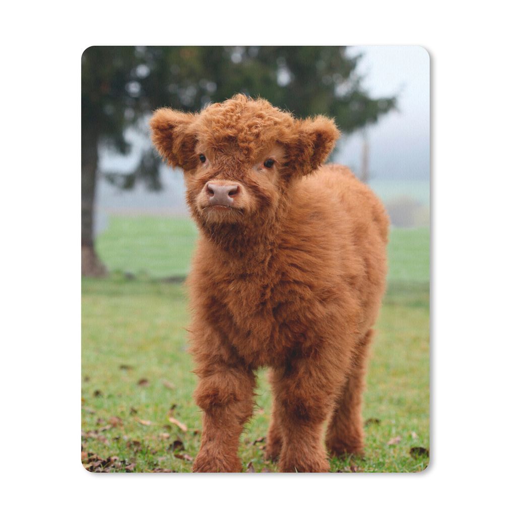 MuchoWow Mauspad Mousepad Scottish Highlander - Kalb - Gras 19x23 cm - Mousepads - Maus Mat - Pad - Mausunterlage - Mauspads - Spielen
