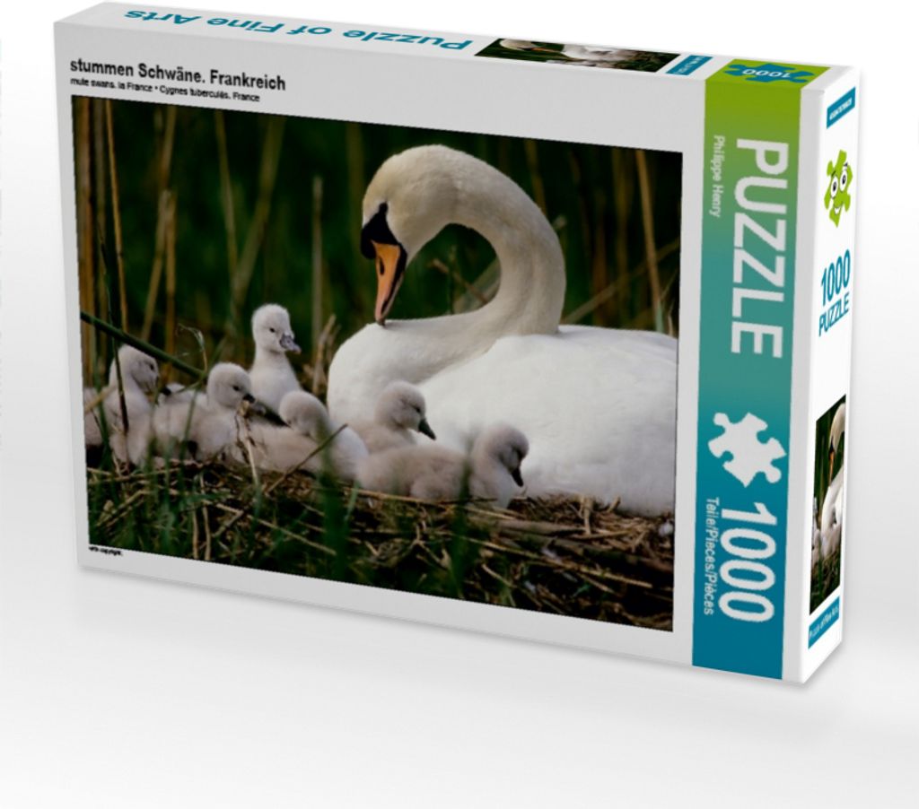 CALVENDO Puzzle stummen Schwäne. Frankreich | 1000 Teile Lege-Größe 64x48cm Foto-Puzzle für glückliche Stunden