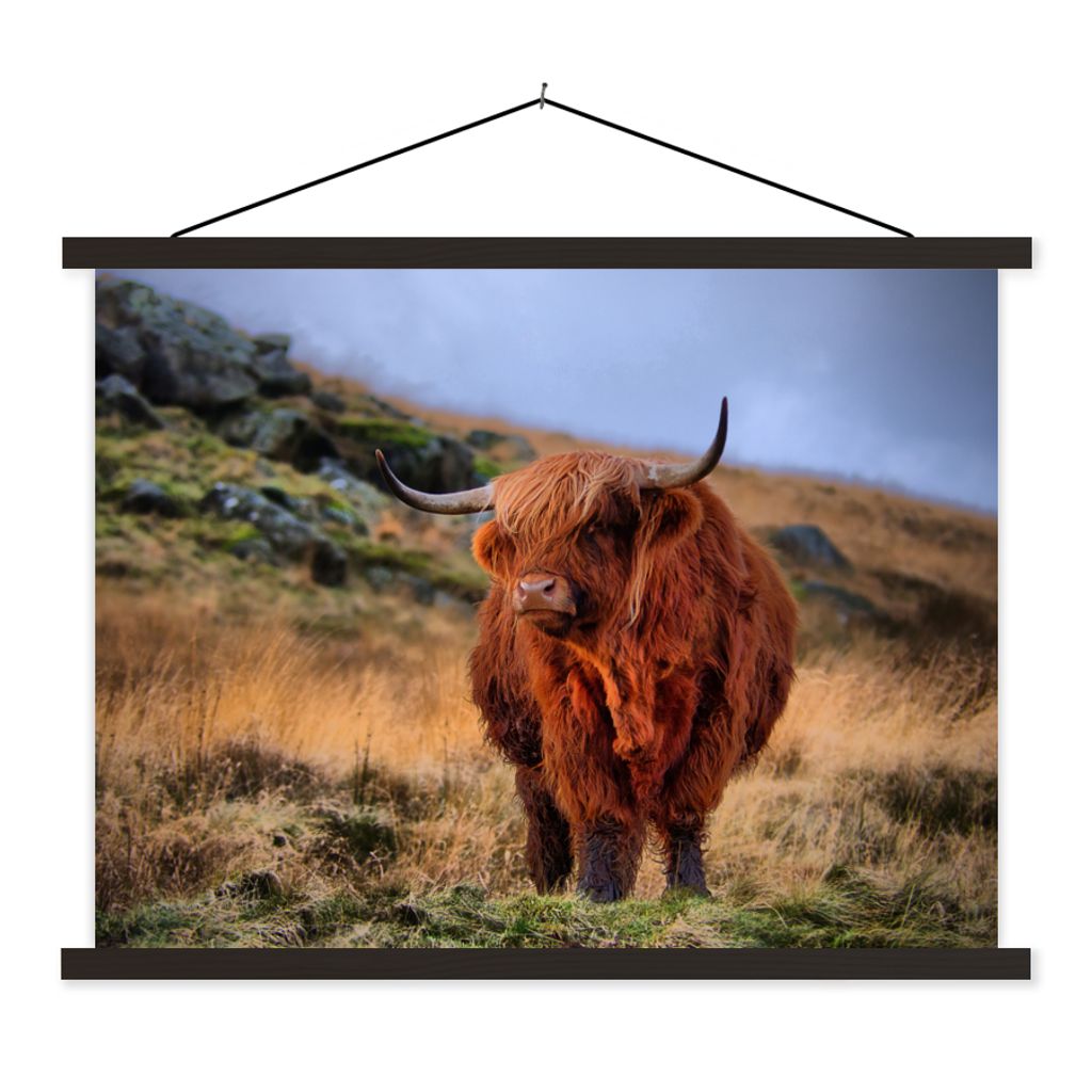 MuchoWow Textilposter Schottische Highlander - Gras - Steine 60x45 cm mit schwarzem Rahmen - Poster Schlafzimmer